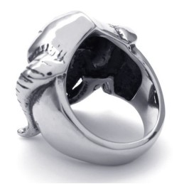 Design Accattivante, Colori Delicati, Anello In Titanio Di Qualità Affidabile