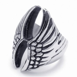 Anello In Titanio Di Qualità Eccellente, Brillantezza Dei Colori E Design Professionale