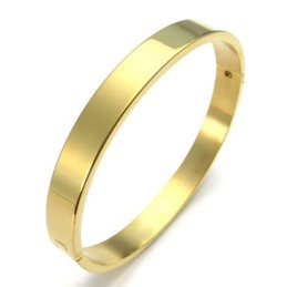 Tecnologia Sofisticata, Splendidi Colori, Bracciale In Titanio Di Qualità Superiore