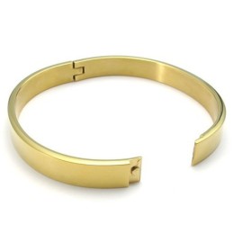 Tecnologia Sofisticata, Splendidi Colori, Bracciale In Titanio Di Qualità Superiore