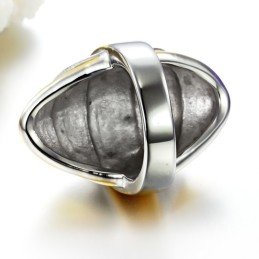 Anello Maschile Esagerato In Titanio Con Qualità E Quantità Assicurate