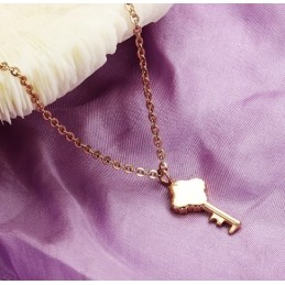 Collana In Titanio Con Chiave Femminile Completa Nelle Specifiche