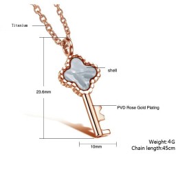 Collana In Titanio Con Chiave Femminile Completa Nelle Specifiche
