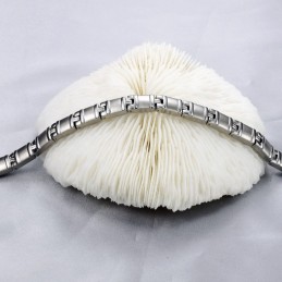Bracciale In Titanio Con Magnete Per La Salute Completo Nelle Specifiche