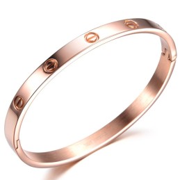 Ampia Varietà Di Braccialetti In Titanio Con Vite Femmina