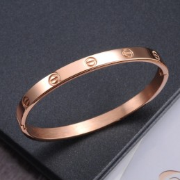 Ampia Varietà Di Braccialetti In Titanio Con Vite Femmina