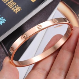Ampia Varietà Di Braccialetti In Titanio Con Vite Femmina