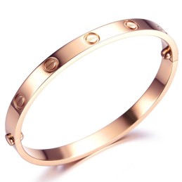 Bracciale In Titanio Con Vite Femmina, Qualità E Quantità Garantite