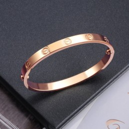 Bracciale In Titanio Con Vite Femmina, Qualità E Quantità Garantite