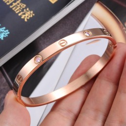 Bracciale In Titanio Con Vite Femmina Di Qualità Superiore
