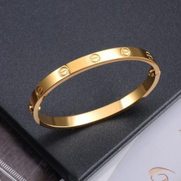 Bracciale In Titanio Da Donna Facile Da Usare