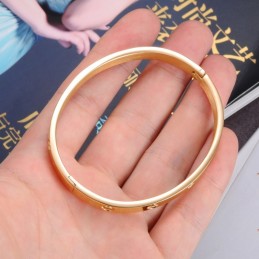 La Regina Del Bracciale In Titanio Da Donna Di Qualità