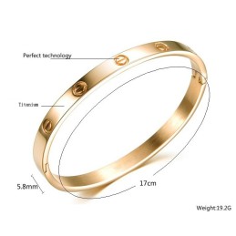 La Regina Del Bracciale In Titanio Da Donna Di Qualità