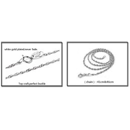 Collana In Titanio Placcato Platino Conciso Da Donna Di Qualità Stabile