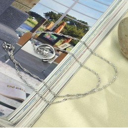 Collana Da Donna In Titanio Placcato Platino Con Strass, Completa Nelle Specifiche