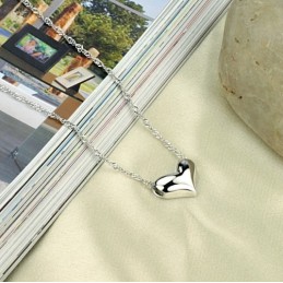 Collana In Titanio Placcato Platino Con Ciondolo A Forma Di Cuore Da Donna Di Eccellente Qualità
