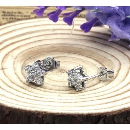 Noto Per La Sua Qualità Pregiata, Orecchini Da Donna In Titanio Placcato In Platino Anallergico Con Diamante
