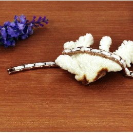 Bracciale In Ceramica Di Tungsteno Di Fama Mondiale