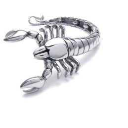Bracciale In Titanio Lucido Con Simbolo Dello Scorpione