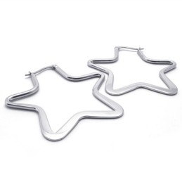 Orecchini A Forma Di Stella In Titanio