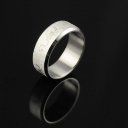 Anello Da Uomo In Titanio Scorpion
